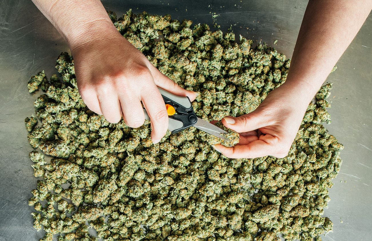 Will Oregon Be Known for Its (Legal) Weed Export?